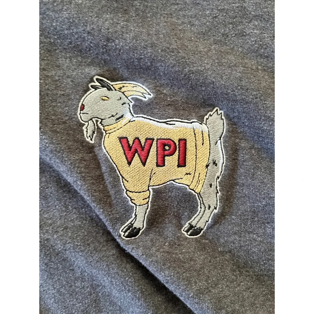 Champion WPI Worcester Polytechnic Institute Quarter Zip Sweatshirt Gray Medium